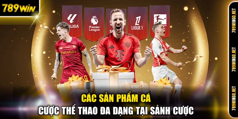 Các sản phẩm cá cược thể thao đa dạng tại sảnh cược