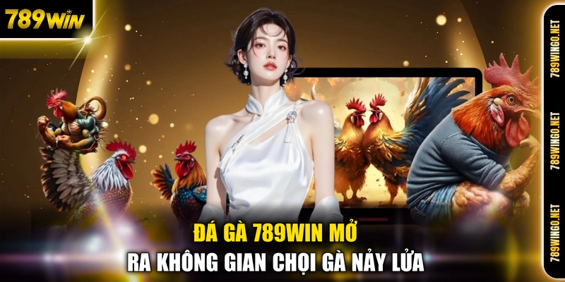Đá gà 789WIN mở ra không gian chọi gà nảy lửa