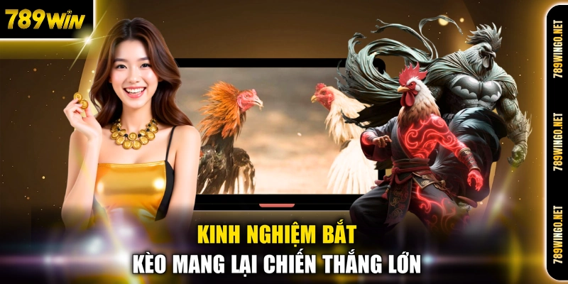 Kinh nghiệm bắt kèo mang lại chiến thắng lớn